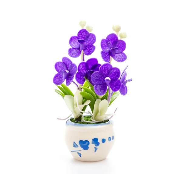 Blume im Topf — Stockfoto