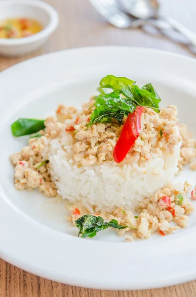 Spicy fried chicken and rice — Stock Photo, Image