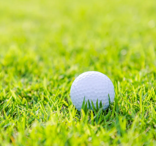 Golfball auf grünem Rasen — Stockfoto