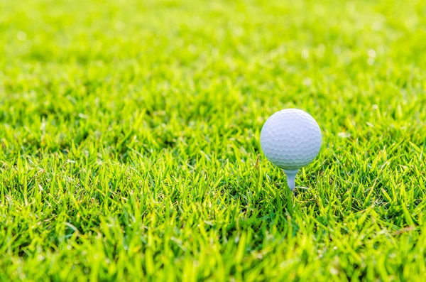 Pallina da golf su erba verde — Foto Stock