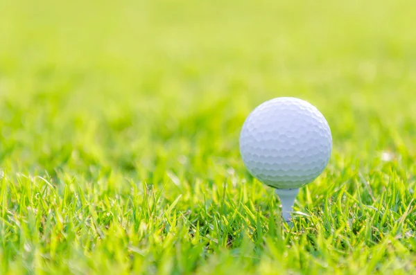 Golf ball on green grass — Stock Photo, Image