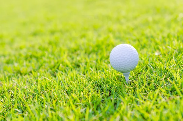 Bola de golfe na grama verde — Fotografia de Stock