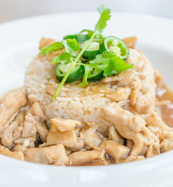Pollo con salsa marrón sobre arroz — Foto de Stock