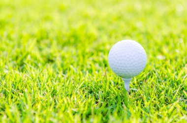 Yeşil çimlerin üzerinde golf topu