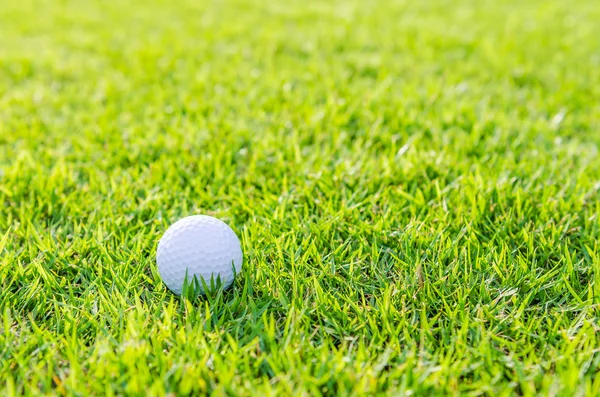 Piłka golfowa na zielonej trawie — Zdjęcie stockowe
