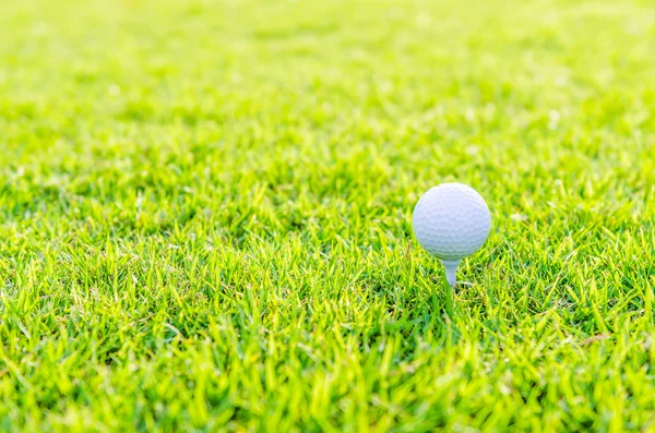 Golf ball on green grass — Stock Photo, Image