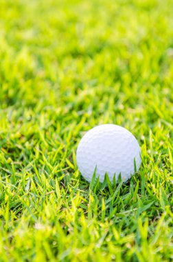 Yeşil çimlerin üzerinde golf topu