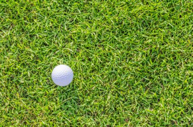 Yeşil çimlerin üzerinde golf topu