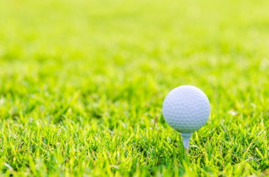 Yeşil çimlerin üzerinde golf topu