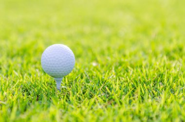 Yeşil çimlerin üzerinde golf topu