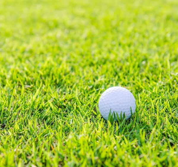 Golfový míček na zelené trávě — Stock fotografie