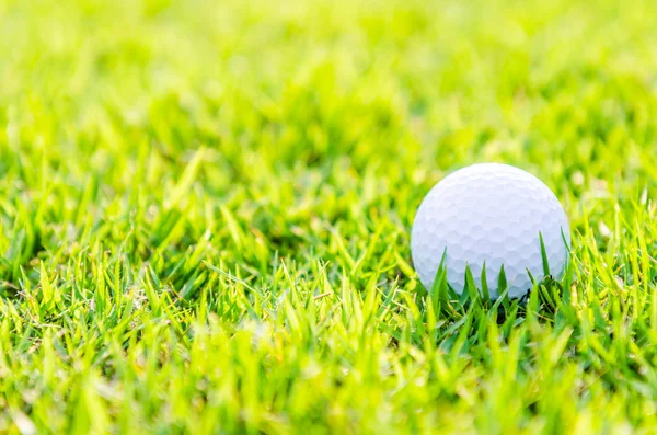 Golfball auf grünem Rasen — Stockfoto