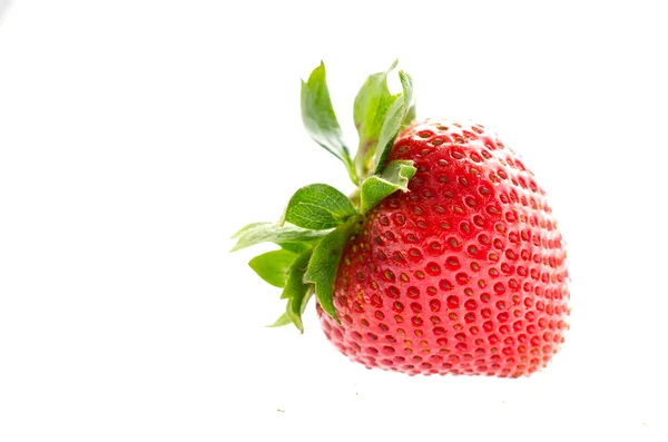 Fragola fresca — Foto Stock