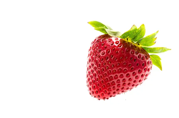 Fragola fresca — Foto Stock