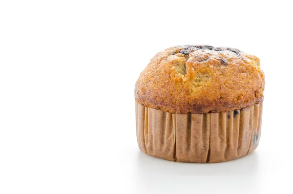 Chocolate muffin cake — Stock Photo, Image