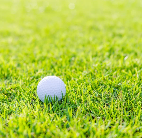 Bola de golfe na grama verde — Fotografia de Stock