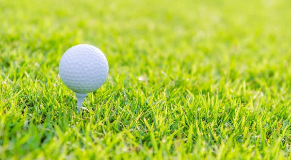 Golfbal op groen gras — Stockfoto