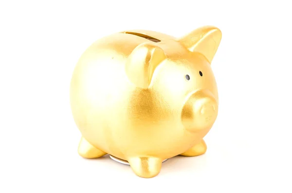 Gold piggy bank — Stock Photo, Image