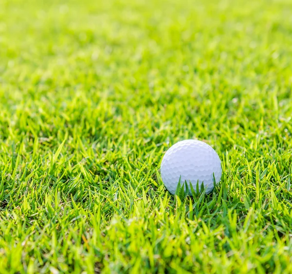 Bola de golfe na grama verde — Fotografia de Stock