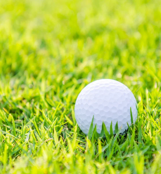 Golfball auf grünem Rasen — Stockfoto