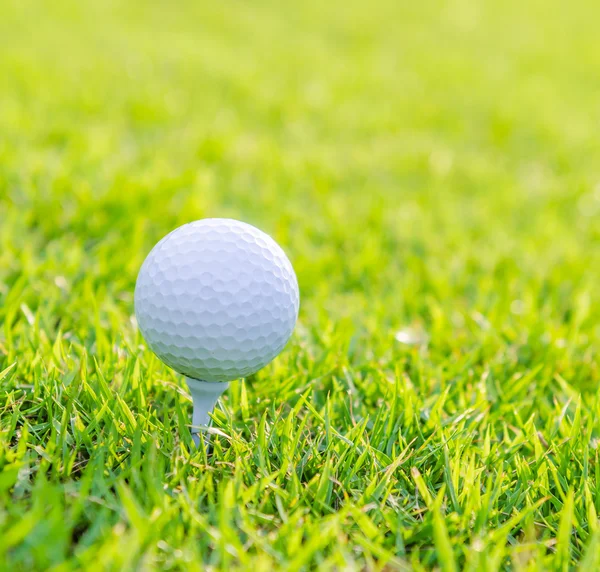 Golfball auf grünem Rasen — Stockfoto