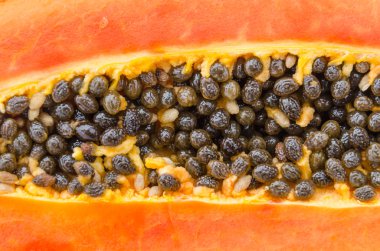 taze papaya