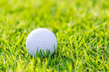 Yeşil çimlerin üzerinde golf topu