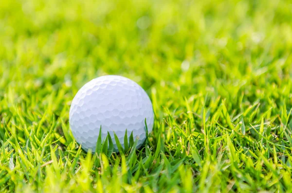 Μπάλα του γκολφ στο πράσινο γρασίδι — Φωτογραφία Αρχείου