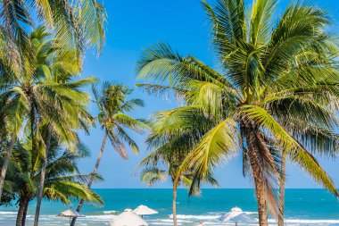 Şemsiye ve sandalye deniz kıyısında, içinde hindistan cevizi palmiyesi, mavi gökyüzü, tatil için beyaz bulut var.