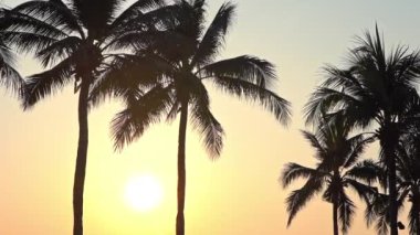 Plaj ve deniz günbatımı, Vintage filtre ve alttan yukarıya ittirmek yukarıya içinde güzel lüks Yüzme Havuzu etrafında palmiye ağaçlarının Silhouettes işleme renk