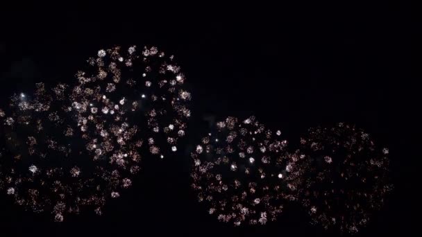 Close Upbeelden Van Vuurwerk Dat Ontploft Nachtelijke Hemel — Stockvideo