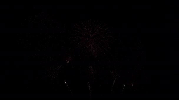 Nærbilder Fyrverkeri Som Eksploderer Nattehimmelen – stockvideo