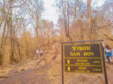 Loei / Tayland-16 Şubat 2019: Tayland 'ın ünlü tatil beldesi Phu Kradueng dağ milli parkının tepesine çıkan yabancı insanlar. Phu Kradueng dağ milli parkı