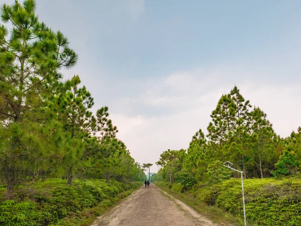 Unbekantade Människor Trekking Till Toppen Phu Kradueng Mountain National Park — Stockfoto