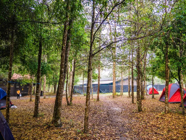Camping Phu Kradueng Parque Nacional Montaña Ciudad Loei Tailandia Phu —  Fotos de Stock