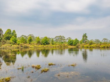 Anodard pond on Phu Kradueng mountain national park in Loei City Thailand.Phu Kradueng mountain national park the famous Travel destination