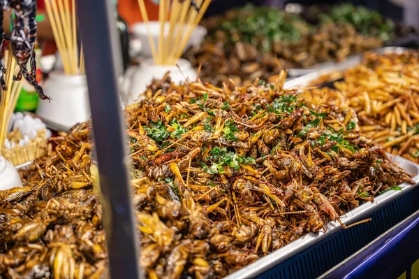 Close Fried Incent Street Food Thailand — Stock Photo, Image