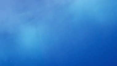 Mavi temiz deniz suyuyla sualtı videosu, yüzeyin altından çekilen suyun yüzeyi,