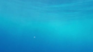 Mavi temiz deniz suyuyla sualtı videosu, yüzeyin altından çekilen suyun yüzeyi,