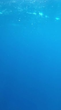 Mavi temiz deniz suyuyla sualtı videosu, yüzeyin altından çekilen suyun yüzeyi,