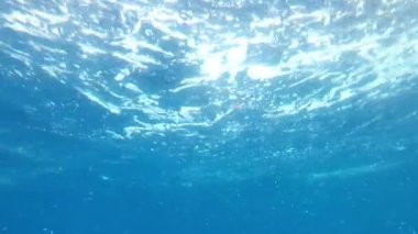 Mavi temiz deniz suyuyla sualtı videosu, yüzeyin altından çekilen suyun yüzeyi,