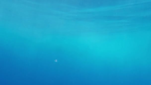 Vidéo Sous Marine Avec Eau Mer Bleue Propre Surface Eau — Video