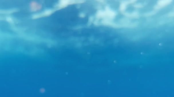 青いきれいな海の水と水面が水面下から撮影され — ストック動画