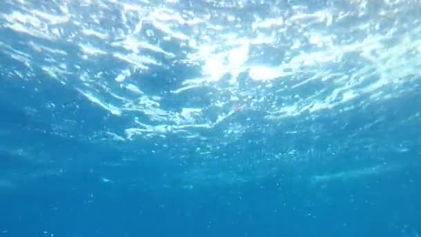 Vidéo Sous Marine Avec Eau Mer Bleue Propre Surface Eau — Video