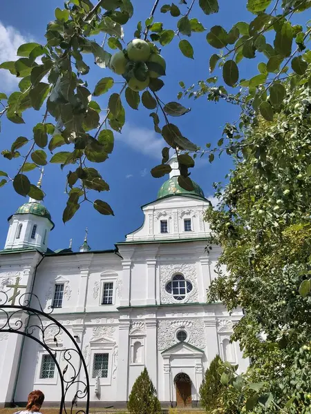 Groene Appels Achtergrond Buitengevel Van Kathedraal Stijl Van Het Oekraïense — Stockfoto