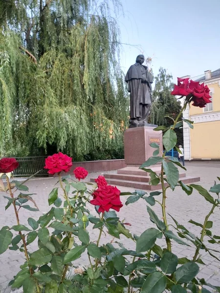 Estatua Del Novelista Ucraniano Mykola Gogol Myrhorod Rodeada Rosas —  Fotos de Stock