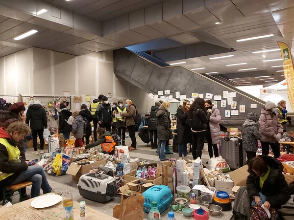 Berlim Alemanha Voluntários Berlim Ajudam Refugiados Ucrânia Seus Animais Imagem De Stock