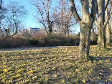 09.03.2022 Berlin: Berlin 'de tipik bir gün: evler, sokaklar, ulaşım