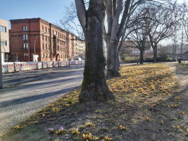 09.03.2022 Berlin: Berlin 'de tipik bir gün: evler, sokaklar, ulaşım
