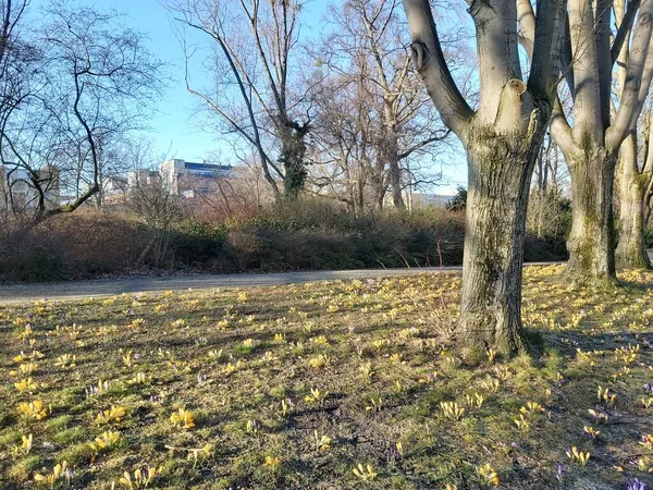 09.03.2022 Berlin: Berlin 'de tipik bir gün: evler, sokaklar, ulaşım